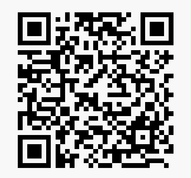RAY DIGITAL QR code